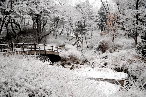 겨울풍경