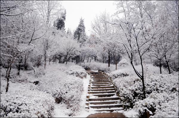 겨울풍경
