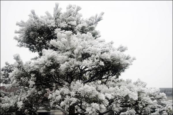설경