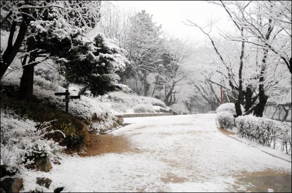 설경